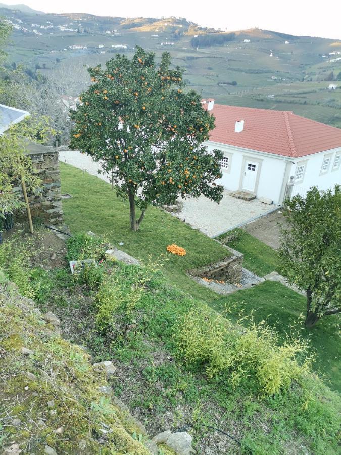 Quinta De Travassinhos- Douro Valley & Spa Santa Marta de Penaguião Exterior foto